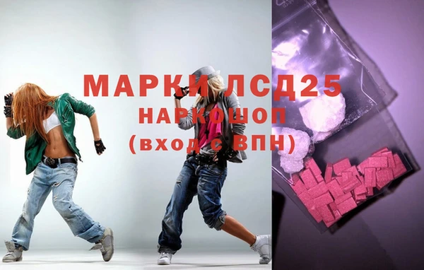 ГАЛЛЮЦИНОГЕННЫЕ ГРИБЫ Новодвинск